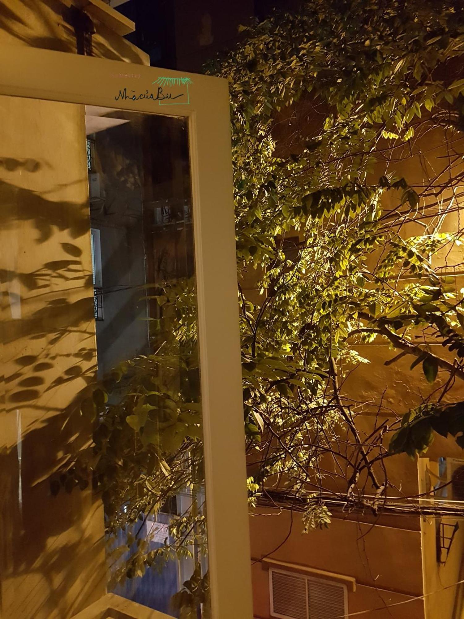 Bu Hanói Exterior foto